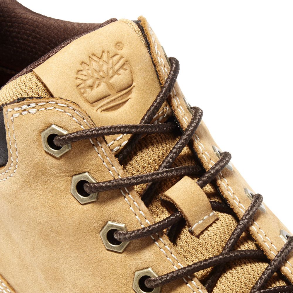 Bocanci Chukka Timberland Barbati Maro - Tenmile - Romania - ELDTVU053